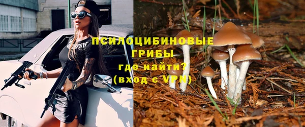стаф Армянск
