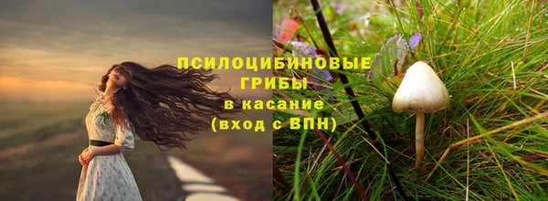 стаф Армянск