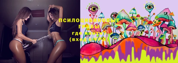 винт Аркадак