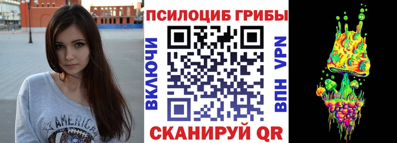 Галлюциногенные грибы Cubensis  Медногорск 